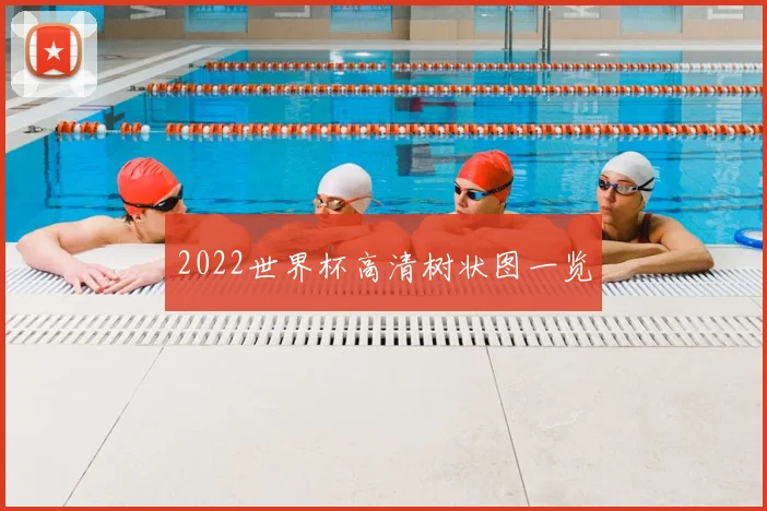2022世界杯高清树状图一览