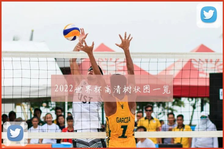 2022世界杯高清树状图一览