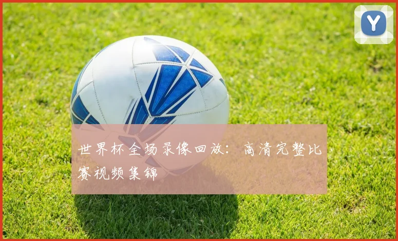 世界杯全场录像回放：高清完整比赛视频集锦