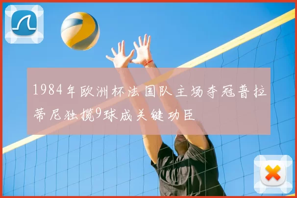 1984年欧洲杯法国队主场夺冠普拉蒂尼独揽9球成关键功臣