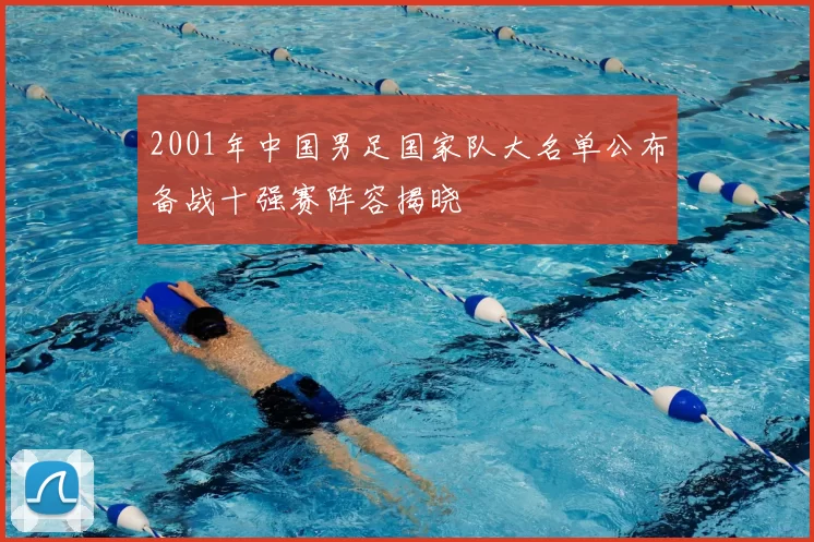 2001年中国男足国家队大名单公布备战十强赛阵容揭晓