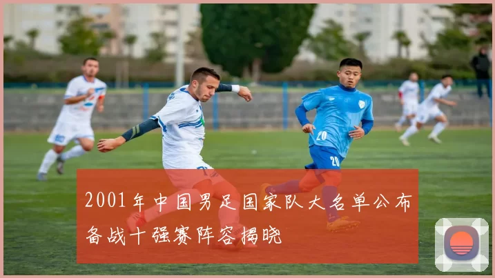 2001年中国男足国家队大名单公布备战十强赛阵容揭晓