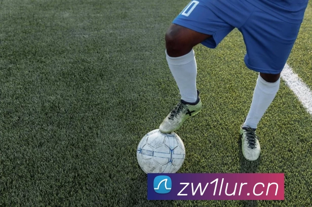 足球世界杯官方网站平台生态图